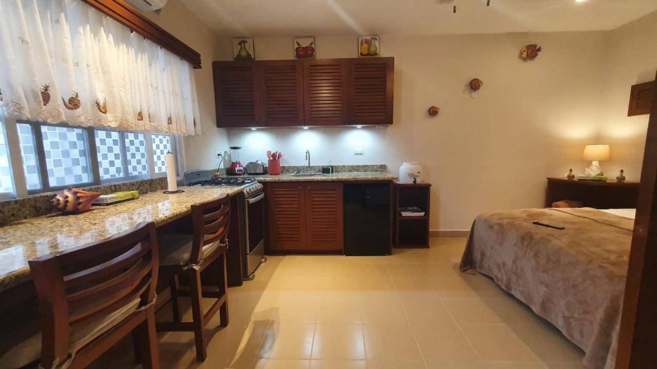 Coralito Malecon Luxury Studio 이슬라무헤레스 외부 사진