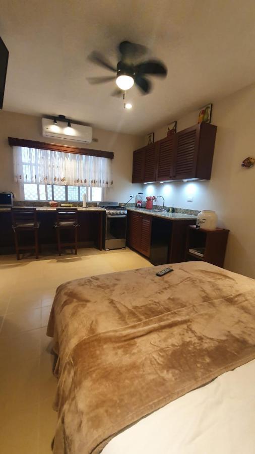 Coralito Malecon Luxury Studio 이슬라무헤레스 외부 사진