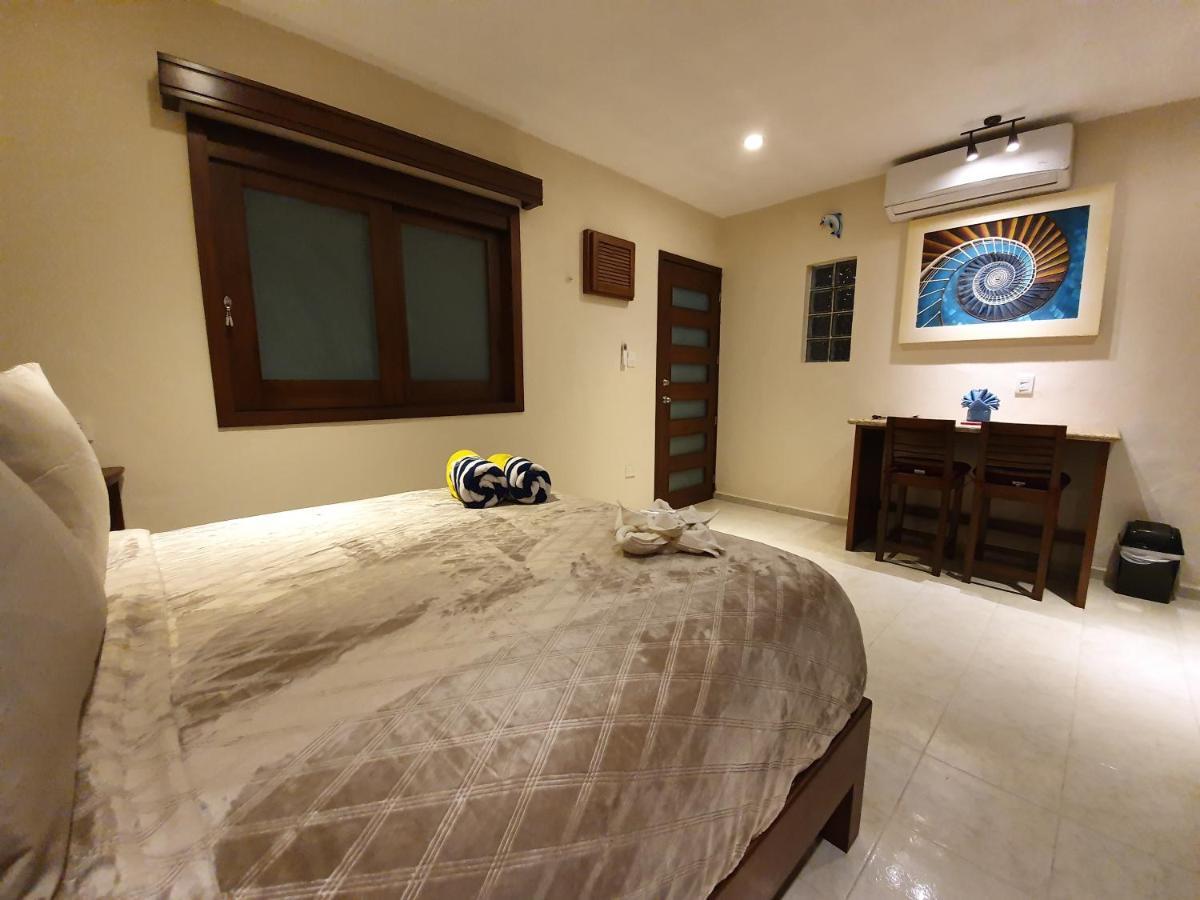 Coralito Malecon Luxury Studio 이슬라무헤레스 외부 사진